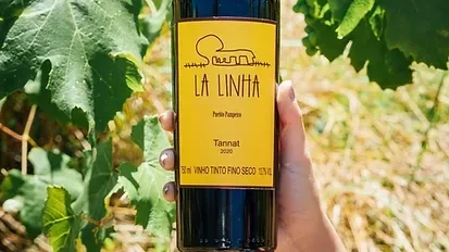 Vinho La Linha(TANNAT)